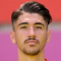 Anil Gozutok