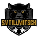 Tillmitsch