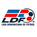 Liga Mayor