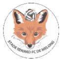 Stade Renard