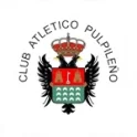 Pulpileno