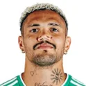 Henrique Alves de Almeida Pedro