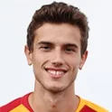M. Mertöz