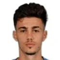 Nikola Mituljikic