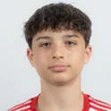 Balazs Bodnar