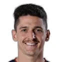 Trevisan Henrique