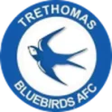 Trethomas Bluebirds