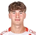 Nicolo Radaelli