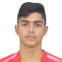 Erfan Darvishaali