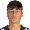 Fernando Mimbacas