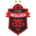 Wollongong Wolves