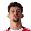 Tomas Araujo