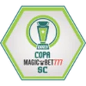 Copa Santa Catarina