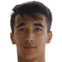 Mutlu Guler