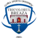 Tricolorul Breaza