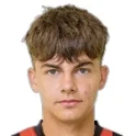 Luca Noveli