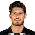 Raul Pedro
