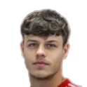 Raul Stefan