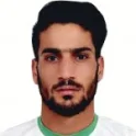 Hossein Abarghouei