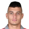 Tommaso Milanese