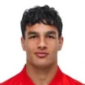 Adem Avdic