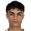 J. Ugljanin