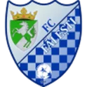 Falesti