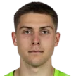 D. Mitrovic