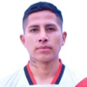 Fernando Pavia Mamani Luis