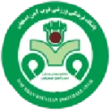 Zob Ahan