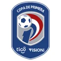 Division Profesional - Clausura